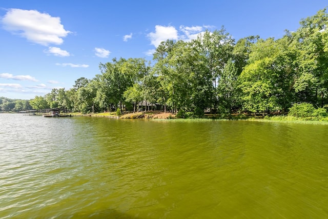 668 Lake Front Dr, Abbeville, AL 36310 - water view