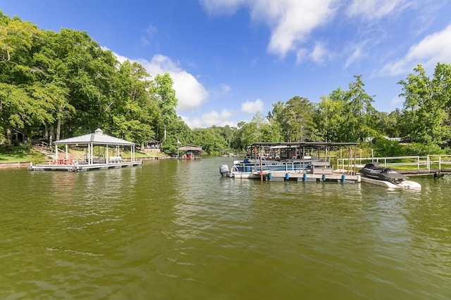 668 Lake Front Dr, Abbeville, AL 36310 - dock featuring a water view and boat lift