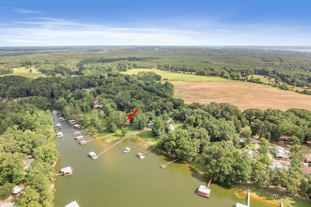 668 Lake Front Dr, Abbeville, AL 36310 - drone / aerial view of a heavily wooded area and a nearby body of water
