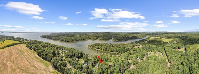 668 Lake Front Dr, Abbeville, AL 36310 - aerial view of a large body of water and a heavily wooded area
