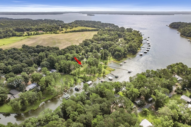 668 Lake Front Dr, Abbeville, AL 36310 - drone / aerial view of a large body of water