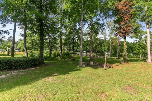 668 Lake Front Dr, Abbeville, AL 36310 - view of grassy yard