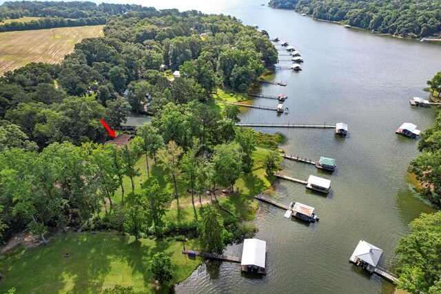 668 Lake Front Dr, Abbeville, AL 36310 - bird's eye view of a large body of water
