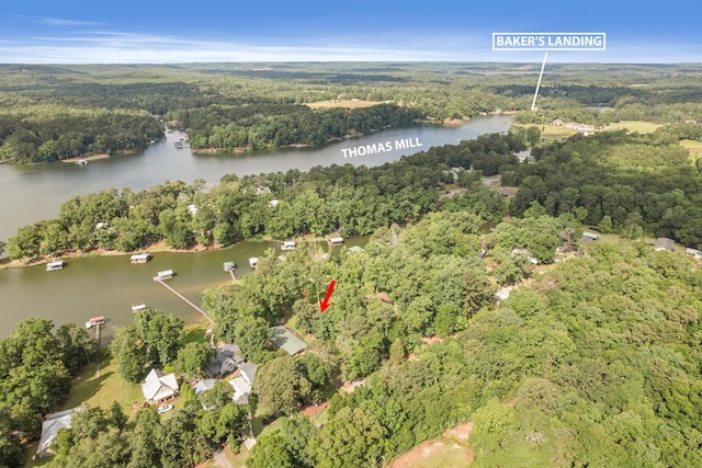 668 Lake Front Dr, Abbeville, AL 36310 - aerial overview of property's location with a forest and a large body of water