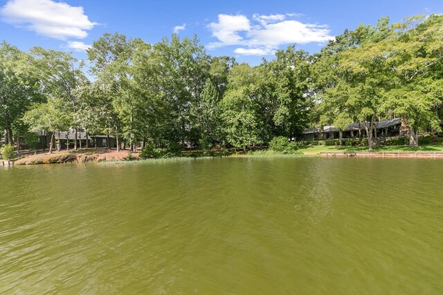 668 Lake Front Dr, Abbeville, AL 36310 - water view