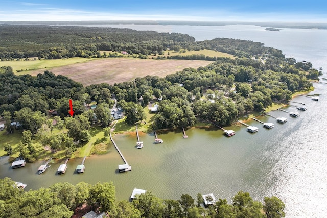 668 Lake Front Dr, Abbeville, AL 36310 - aerial view of a nearby body of water