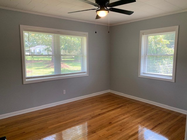 spare room featuring ornamental molding, ceiling fan, and wood-type flooring