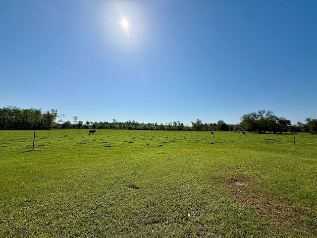 view of yard with a rural view