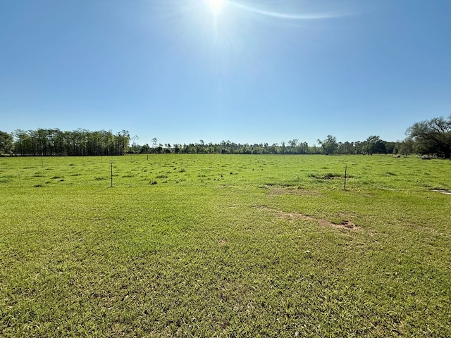 view of yard featuring a rural view