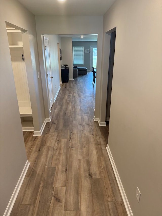 34 Popcorn Cir, Rehobeth, AL 36301 - corridor featuring dark wood-type flooring and baseboards
