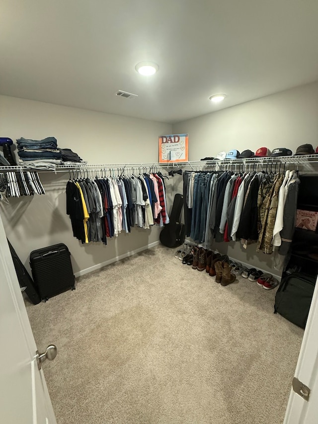 34 Popcorn Cir, Rehobeth, AL 36301 - walk in closet with carpet