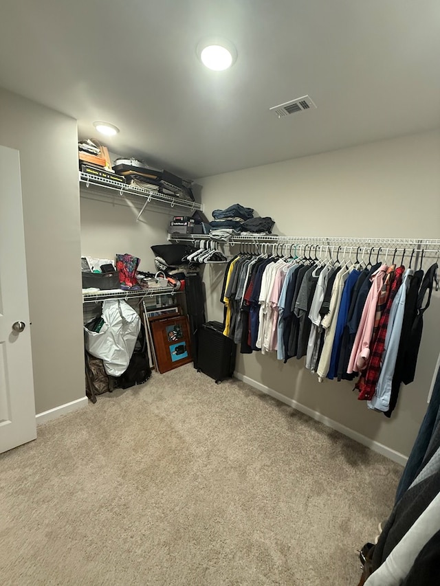34 Popcorn Cir, Rehobeth, AL 36301 - spacious closet featuring carpet floors