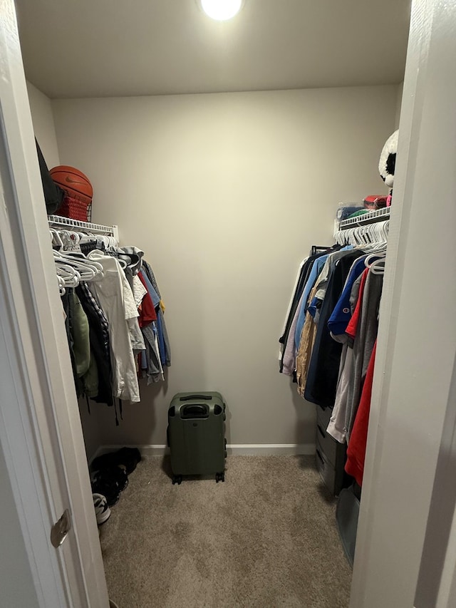 34 Popcorn Cir, Rehobeth, AL 36301 - walk in closet with carpet floors