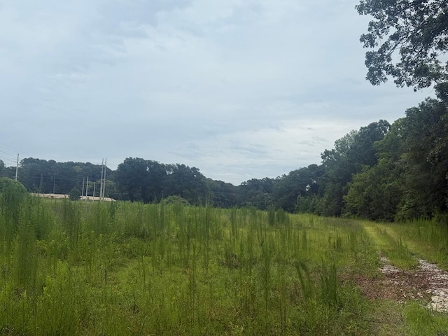 28/-AC Old Dale Rd, Eufaula, AL 36027