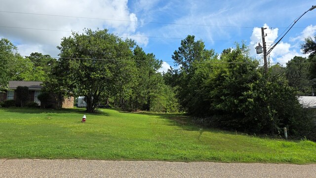 840 N County Road 33, Ashford, AL 36312 - photo 32