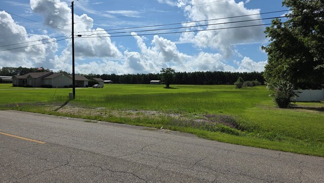 840 N County Road 33, Ashford, AL 36312 - photo 28