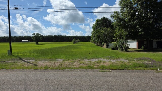 840 N County Road 33, Ashford, AL 36312 - photo 8