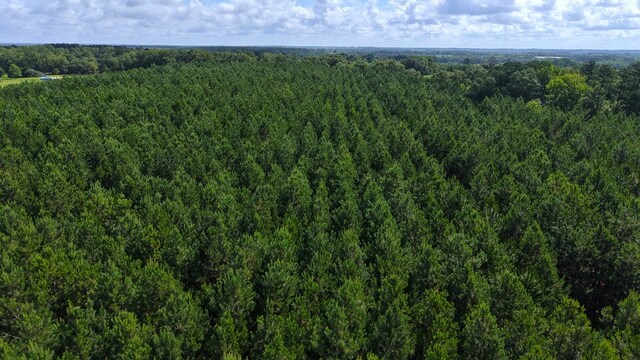840 N County Road 33, Ashford, AL 36312 - photo 21