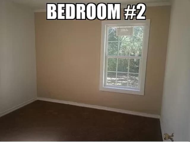 carpeted empty room with crown molding