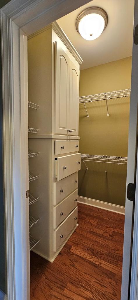 walk in closet featuring dark wood-type flooring