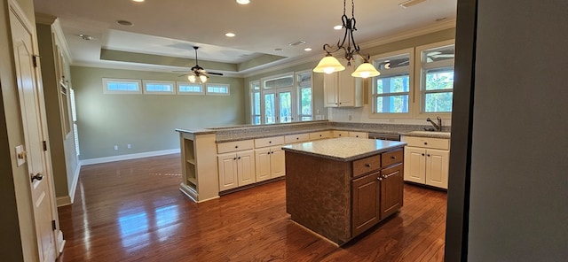 kitchen with dark wood finished floors, a tray ceiling, baseboards, and ornamental molding