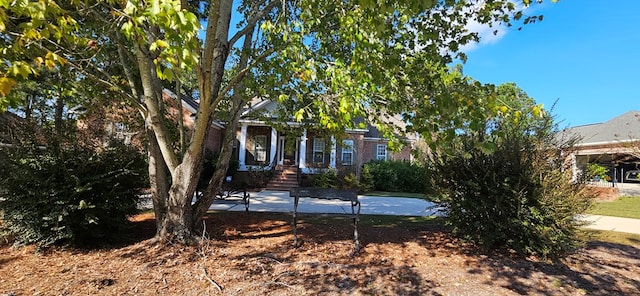 view of property hidden behind natural elements