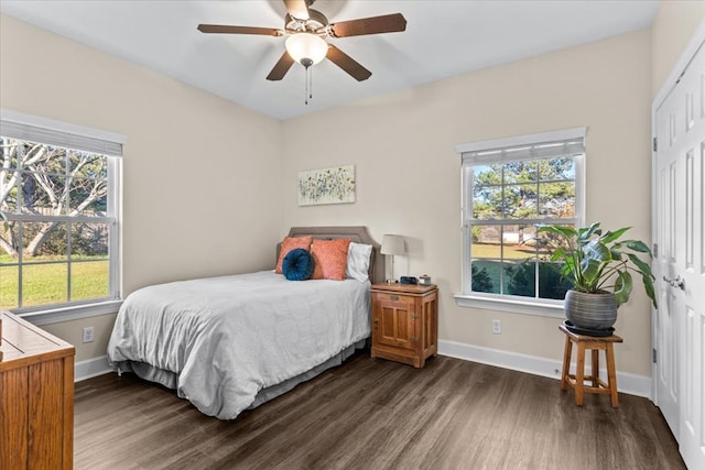 bedroom featuring dark wood-style floors, multiple windows, and baseboards