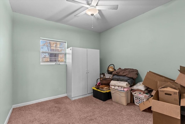 storage with ceiling fan