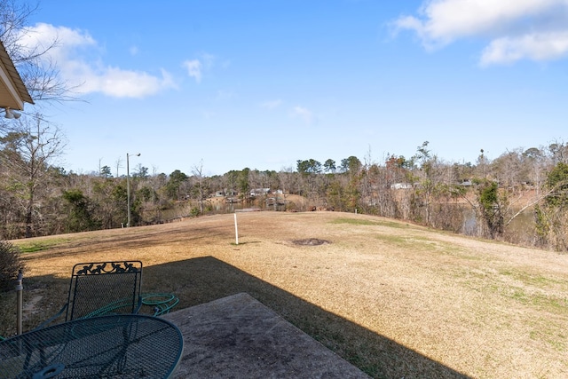 view of yard with a patio