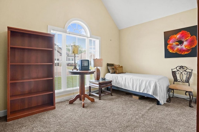 106 Camberly Ct, Dothan, AL 36301 - bedroom with carpet and high vaulted ceiling