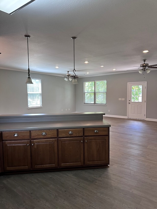 183 Chestnutt Rd, Slocomb, AL 36375 - kitchen featuring dark wood-type flooring, recessed lighting, a ceiling fan, pendant lighting, and open floor plan
