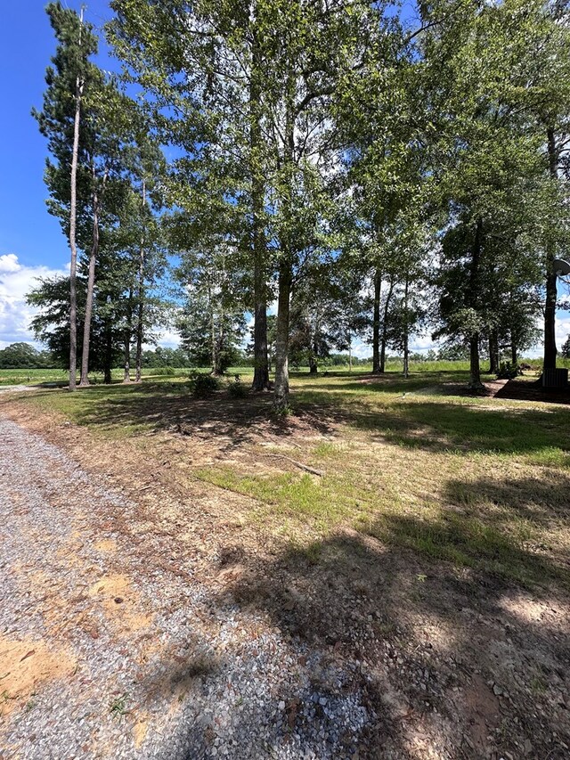 183 Chestnutt Rd, Slocomb, AL 36375 - view of yard