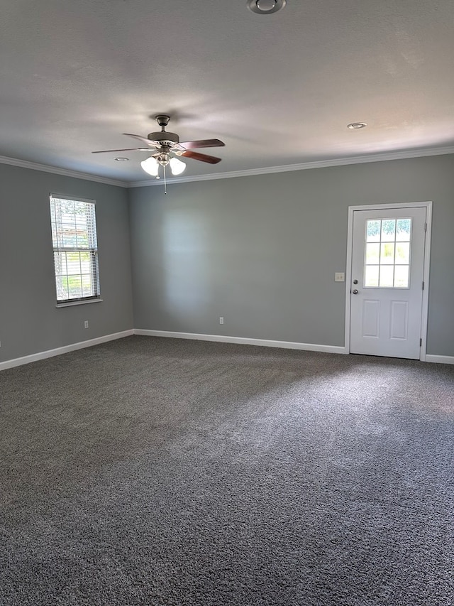 183 Chestnutt Rd, Slocomb, AL 36375 - spare room with ornamental molding, plenty of natural light, ceiling fan, and dark carpet