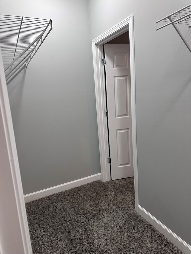 183 Chestnutt Rd, Slocomb, AL 36375 - walk in closet featuring carpet