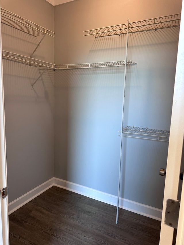 183 Chestnutt Rd, Slocomb, AL 36375 - spacious closet featuring dark wood-type flooring