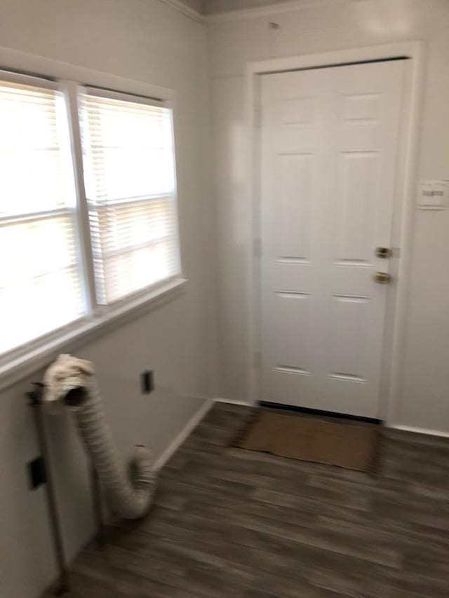 doorway to outside featuring radiator and dark hardwood / wood-style floors