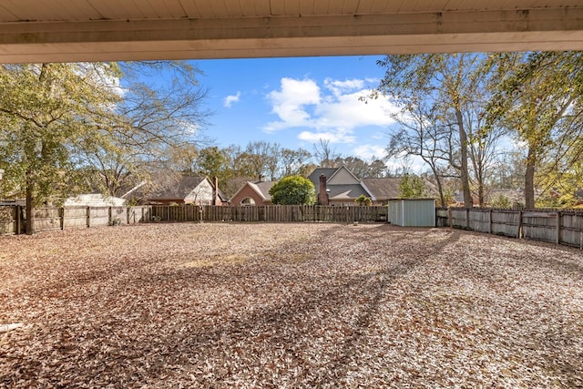 view of yard featuring a shed