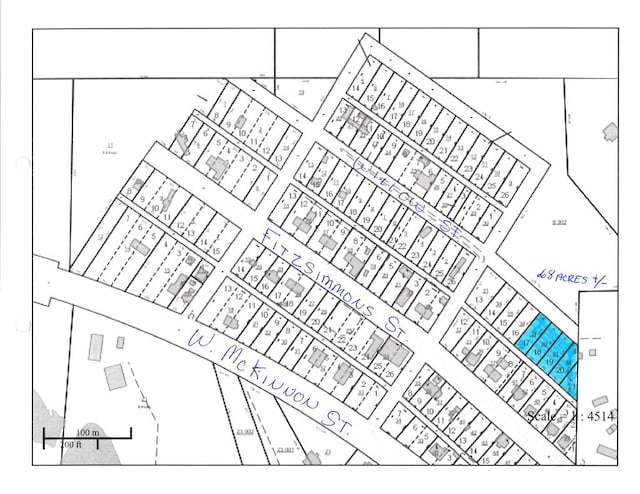 LOTS17-21 Willow St, New Brockton AL, 36351 land for sale