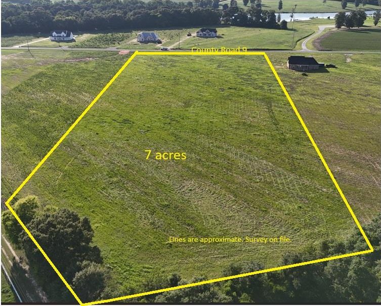 LOT11 County Road 9, Headland, AL 36345 - photo 1