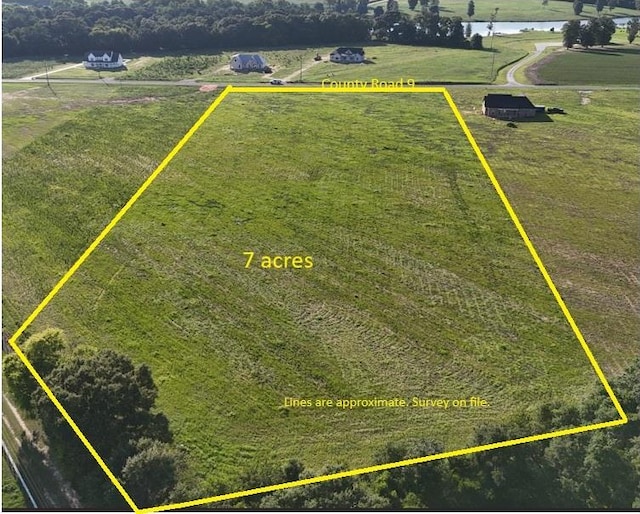 LOT11 County Road 9, Headland, AL 36345 - photo 1