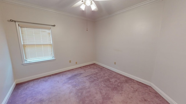 carpeted spare room with ceiling fan and crown molding