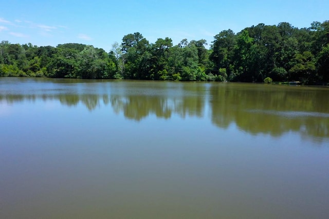 view of water feature