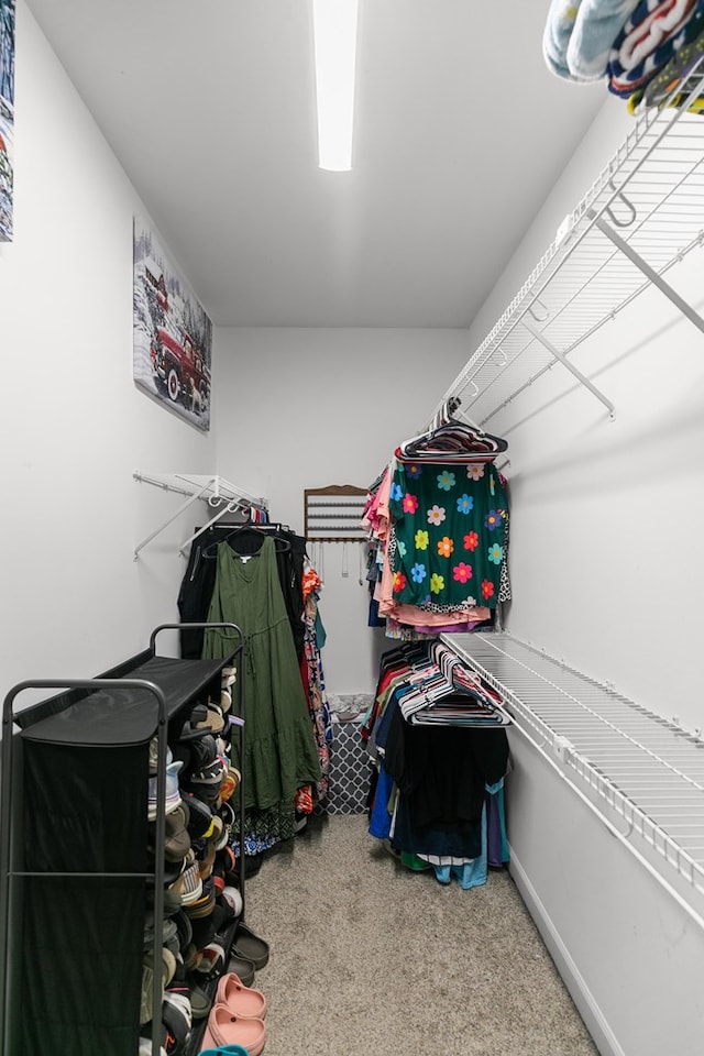 106 Lake Ln, Headland, AL 36345 - spacious closet with carpet