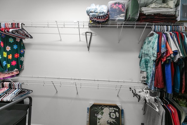 106 Lake Ln, Headland, AL 36345 - view of walk in closet