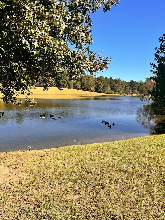 water view