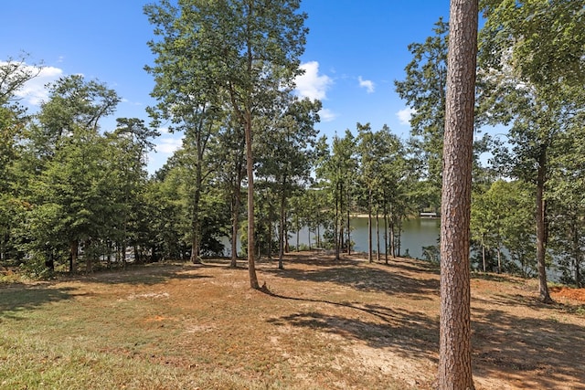 view of yard featuring a water view