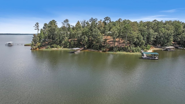 property view of water with a boat dock