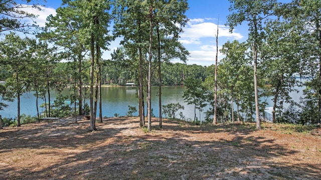 view of water feature