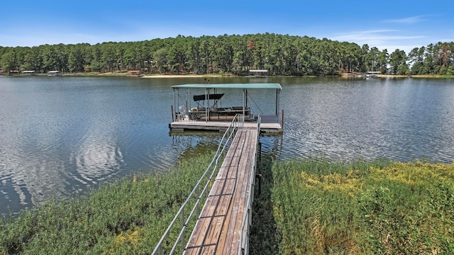 dock area with a water view