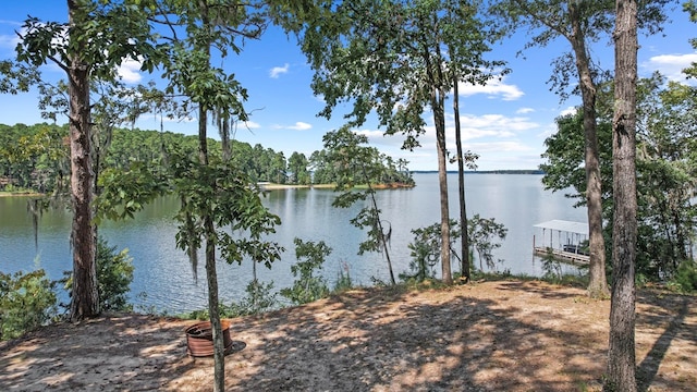 view of water feature